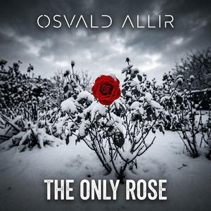 The only Rose