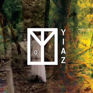 ความจริง (Fake)