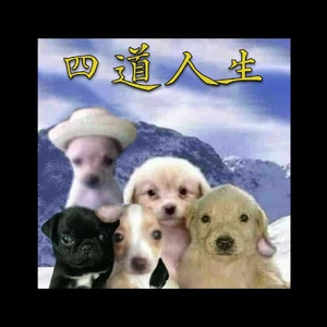 四道人生