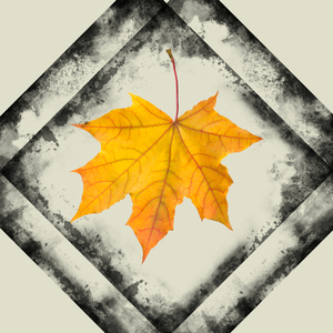 Reflexão (Instrumental Version)