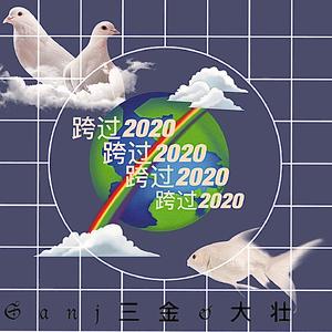 跨过2020
