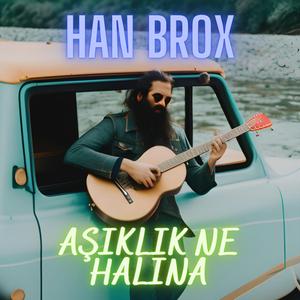 Aşıklık Ne Halına