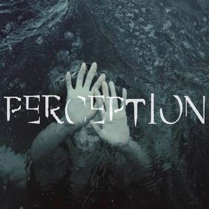 perception
