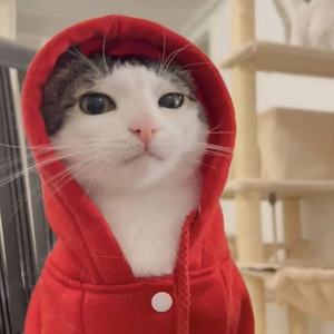 9277—深七（2018版）