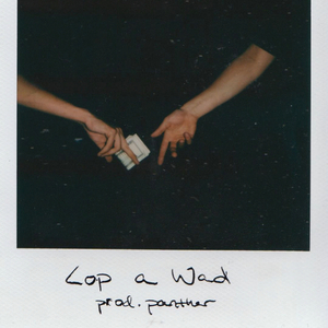 cop a wad (feat. yvng fox & AdamnG)