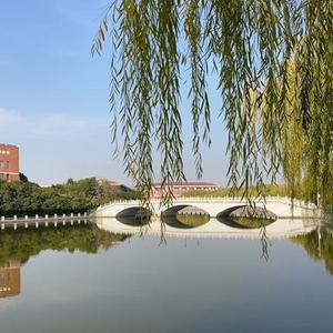 空白格 (Cover 杨宗纬)