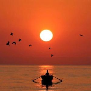 Dia Ensolarado e Alegre