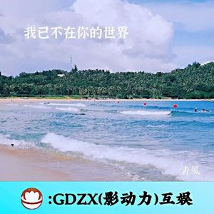 我已不在你的世界