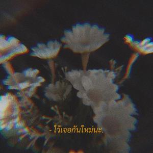 ไว้เจอกันใหม่นะ