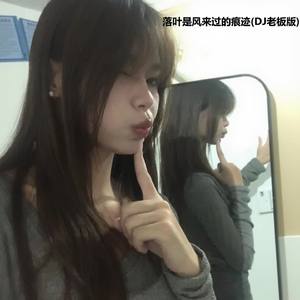 落叶是风来过的痕迹(DJ老板版)