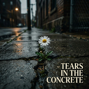 TEARS IN THE CONCRETE
