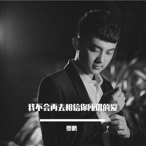 《我不会再去相信你所谓的爱》-贾鹏