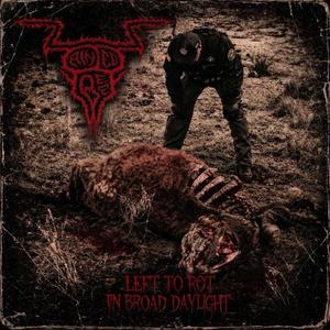 MATADOR MUTALATION (feat. KING ROT)