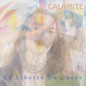 La Liberté Du Choix