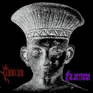 FILISTEOS