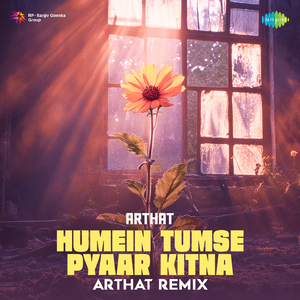 Humein Tumse Pyaar Kitna Arthat Remix