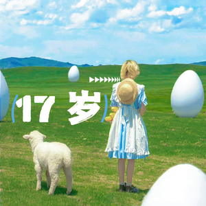 17岁