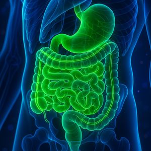 Régénération du microbiote