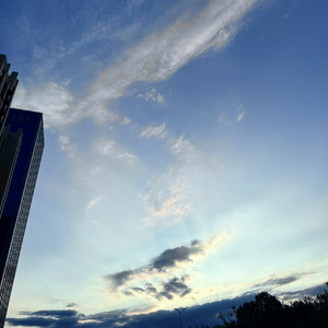 天亮以前说再见