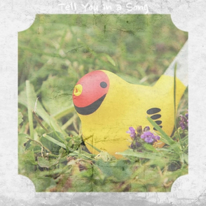 Divided We Stood Till United We Fell