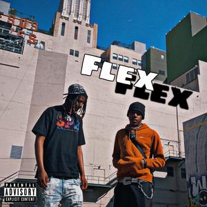 Flex (feat. Hallucinations)