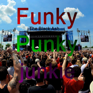 Funky Punky Junkie