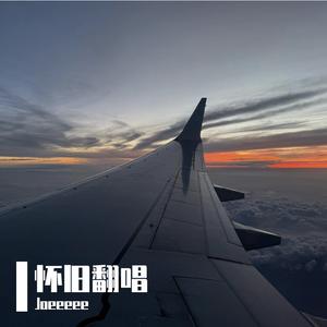 思念是一种病（翻唱）