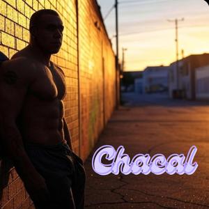 Chacal