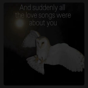 in the end will you remember me