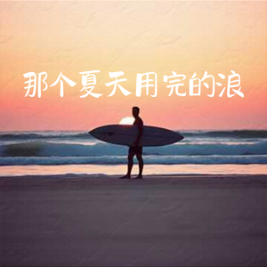 那个夏天用完的浪