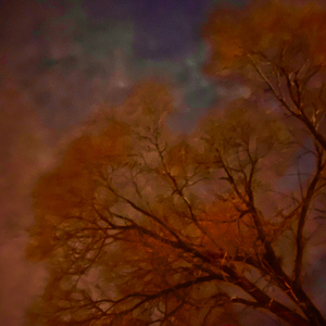 Toxic (feat. Yung Ju) (Remix)