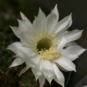 我们只是一个碰巧