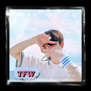 TFW(That Feeling When)