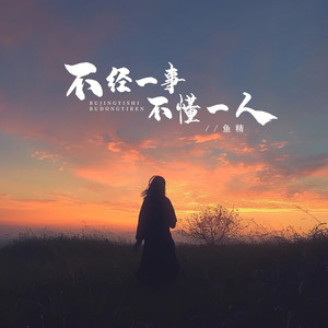 不经一事不懂一人 (Dj沈念Remix版)