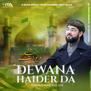 Dewana Haider Da