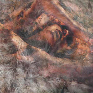 Locust Reign (Live in California)