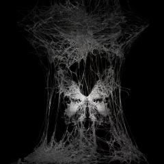 有些牢笼是自己给自己的