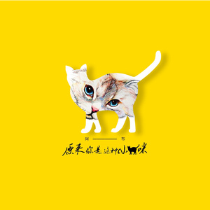 原来你是这种小猫咪