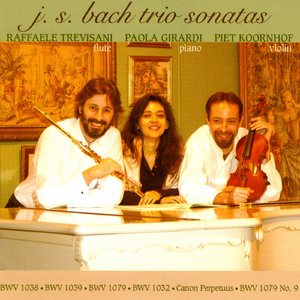 Trio Sonata in G Major, BWV 1039:II. Allegro ma non presto