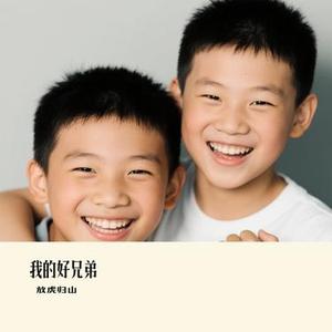 我的好兄弟（Cover 高进）