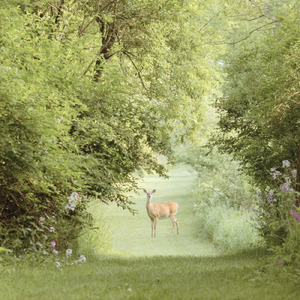 時間の向こう側