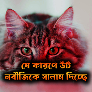 যে কারণে উট নবীজিকে সালাম দিচ্ছে