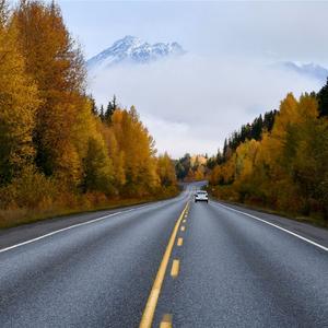 你若不疼不爱我就不理不踩