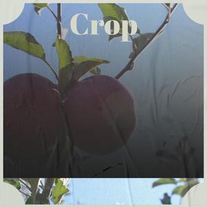 Crop