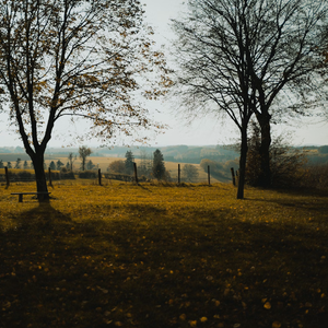 "FREE""Sorry""Nemzzz"TYPE BEAT