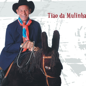 Burro Teimoso