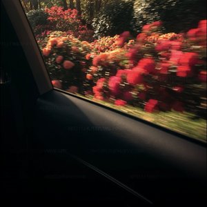 凌晨三点的等待