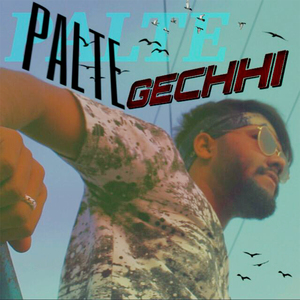 Palte Gechhi