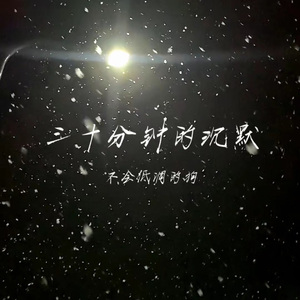 三十分钟的沉默