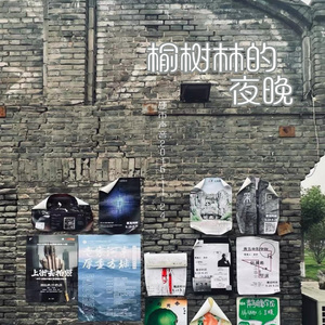 榆树林的夜晚